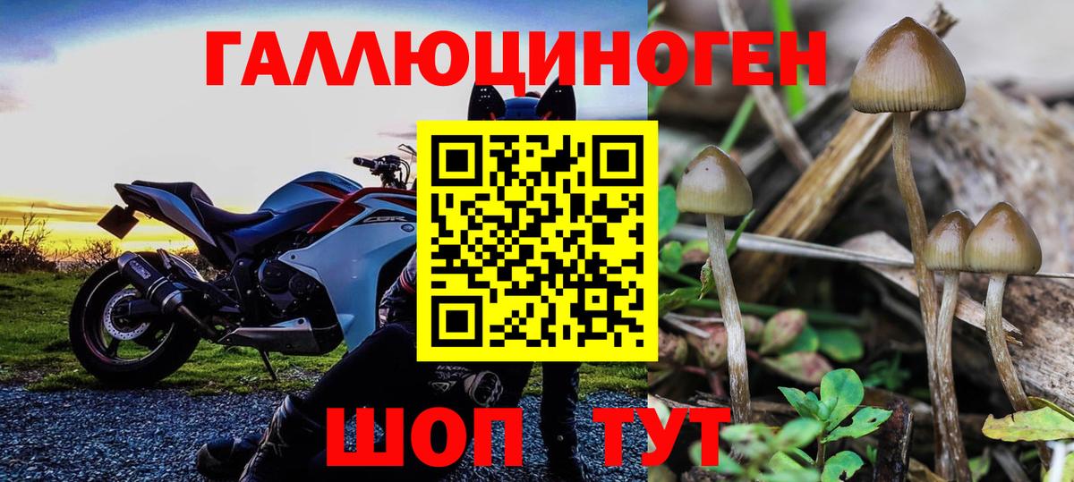 Галлюциногенные грибы Psilocybe  Вход с VPN  Каменск-Уральский 